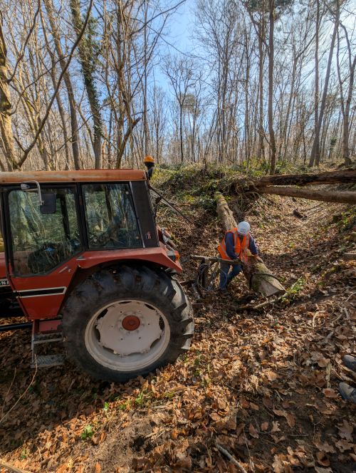 chantier journées des chemins 2025 à Villiers sous Grez (77)